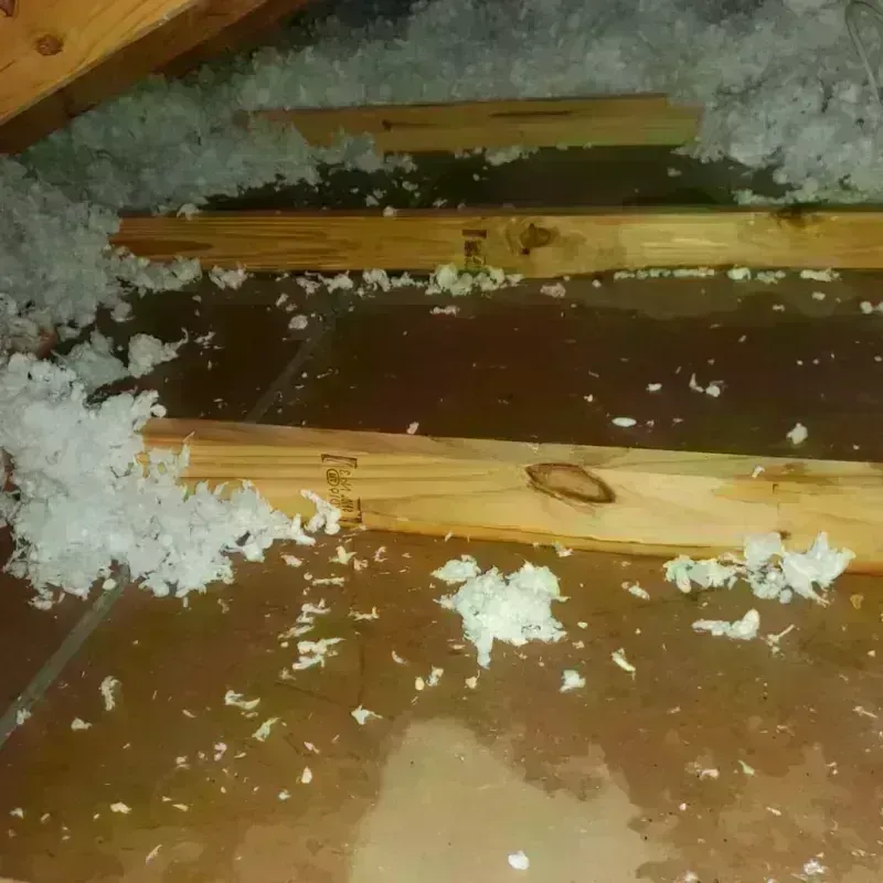 Attic Water Damage in Jefferson County, FL