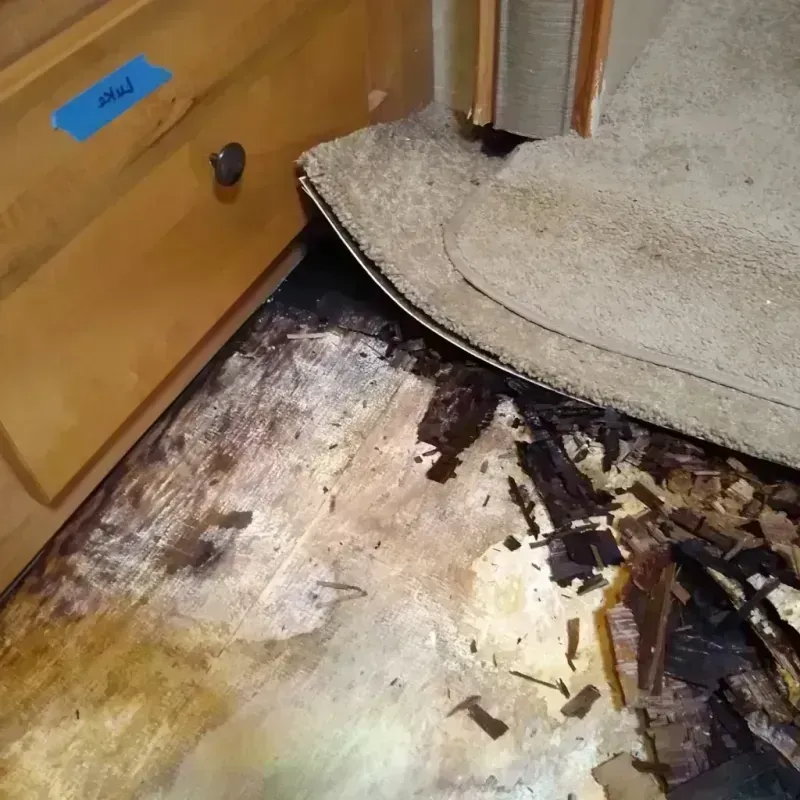 Wood Floor Water Damage in Jefferson County, FL